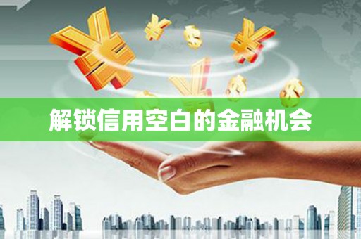抚远解锁信用空白的金融机会