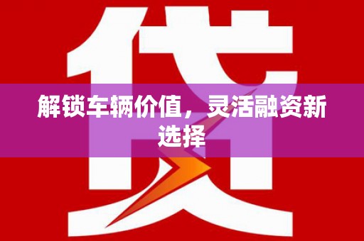 抚远解锁车辆价值，灵活融资新选择