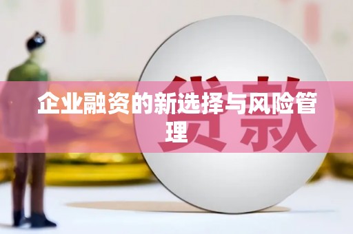 抚远企业融资的新选择与风险管理
