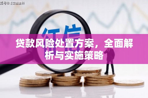 抚远贷款风险处置方案，全面解析与实施策略