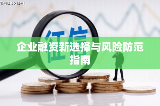 抚远企业融资新选择与风险防范指南