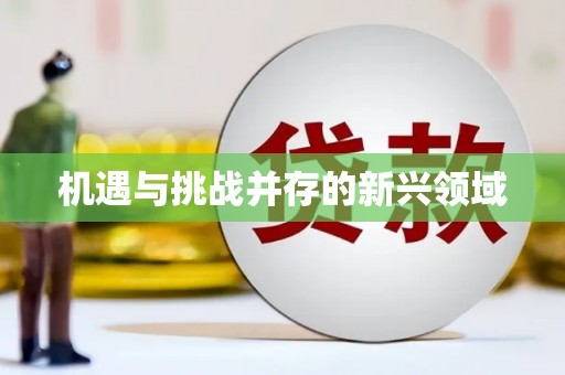 抚远机遇与挑战并存的新兴领域