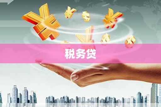 抚远税务贷