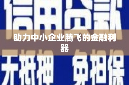 抚远助力中小企业腾飞的金融利器