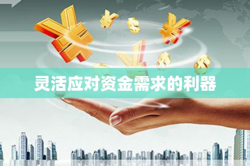 抚远灵活应对资金需求的利器