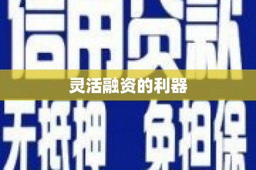 抚远灵活融资的利器