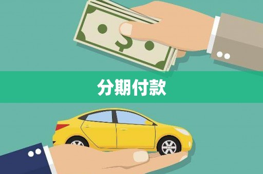抚远分期付款