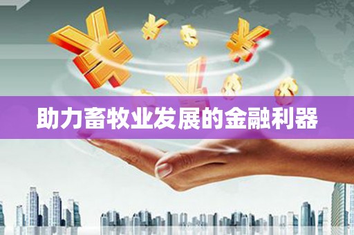 抚远助力畜牧业发展的金融利器