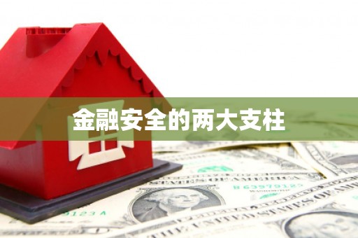 抚远金融安全的两大支柱
