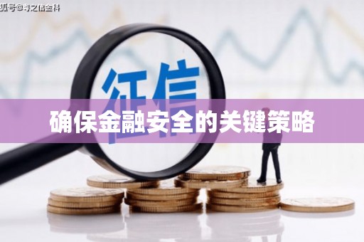 抚远确保金融安全的关键策略