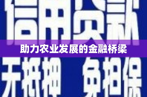 抚远助力农业发展的金融桥梁