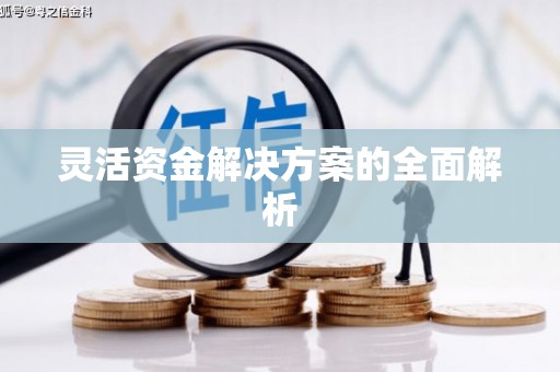 抚远灵活资金解决方案的全面解析