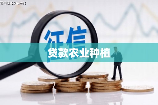 抚远贷款农业种植