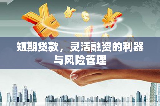 抚远短期贷款，灵活融资的利器与风险管理