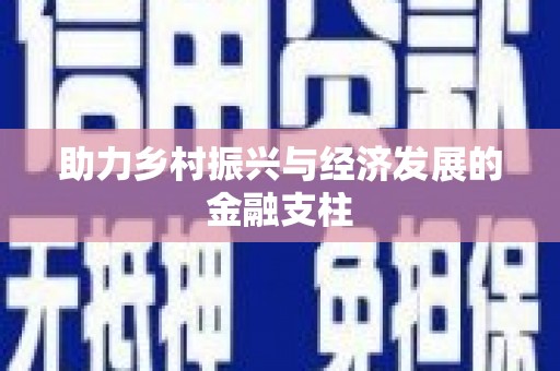 抚远助力乡村振兴与经济发展的金融支柱