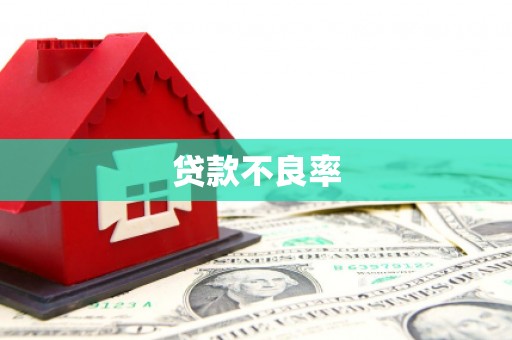 抚远贷款不良率