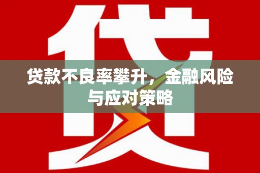 抚远贷款不良率攀升，金融风险与应对策略