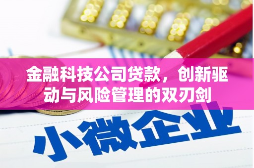 抚远金融科技公司贷款，创新驱动与风险管理的双刃剑