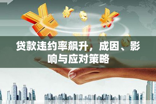 抚远贷款违约率飙升，成因、影响与应对策略